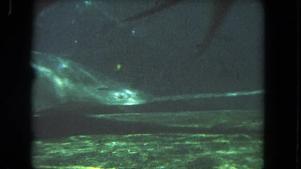 1962 8mm Los Angeles home-movie frame showing a large fish entering murky green-blue water, with soft focus and dark contact-sheet borders.