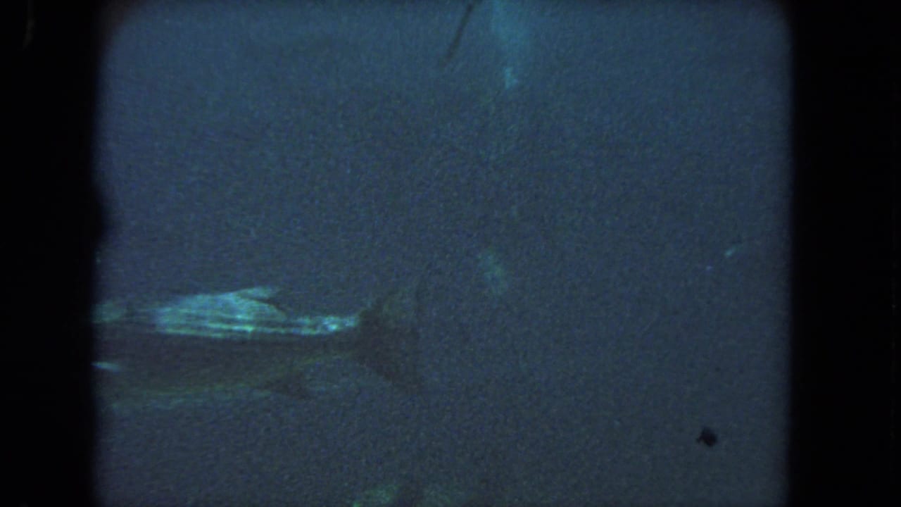Murky underwater 8mm frame from the Los Angeles coastal clip, with faint fish-like silhouettes and blue-green film color shift.