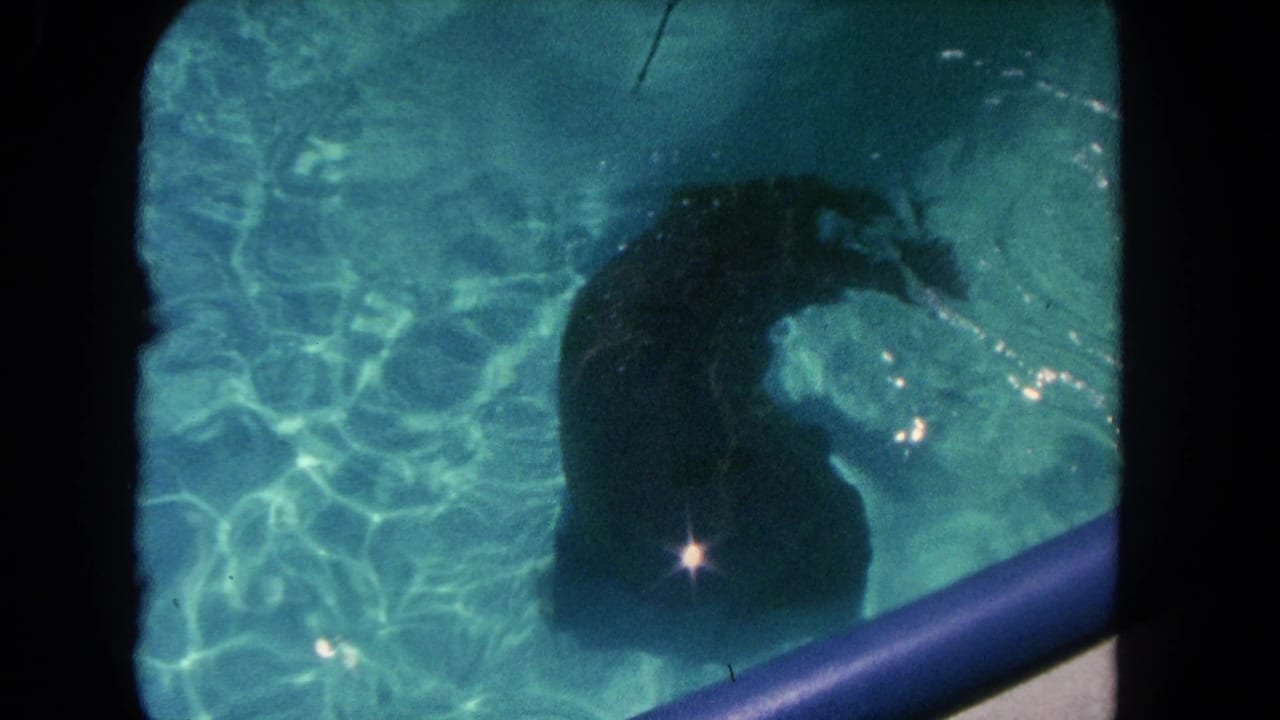 The likely sea lion or seal turns beneath the rippling pool surface, its dark body silhouetted against turquoise water in the Los Angeles 1962 clip.