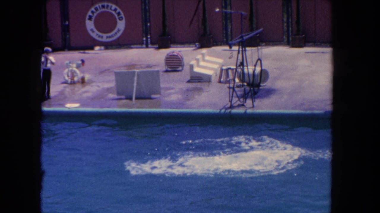 1962 Los Angeles home-movie frame showing a dolphin splash near a pool deck with a trainer, Marineland sign, and show equipment visible.