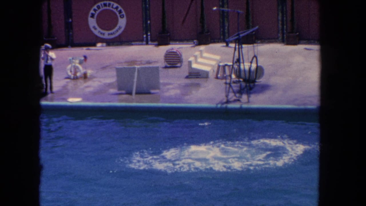 Foamy splash in the dolphin pool with Marineland signage and deck equipment behind it.