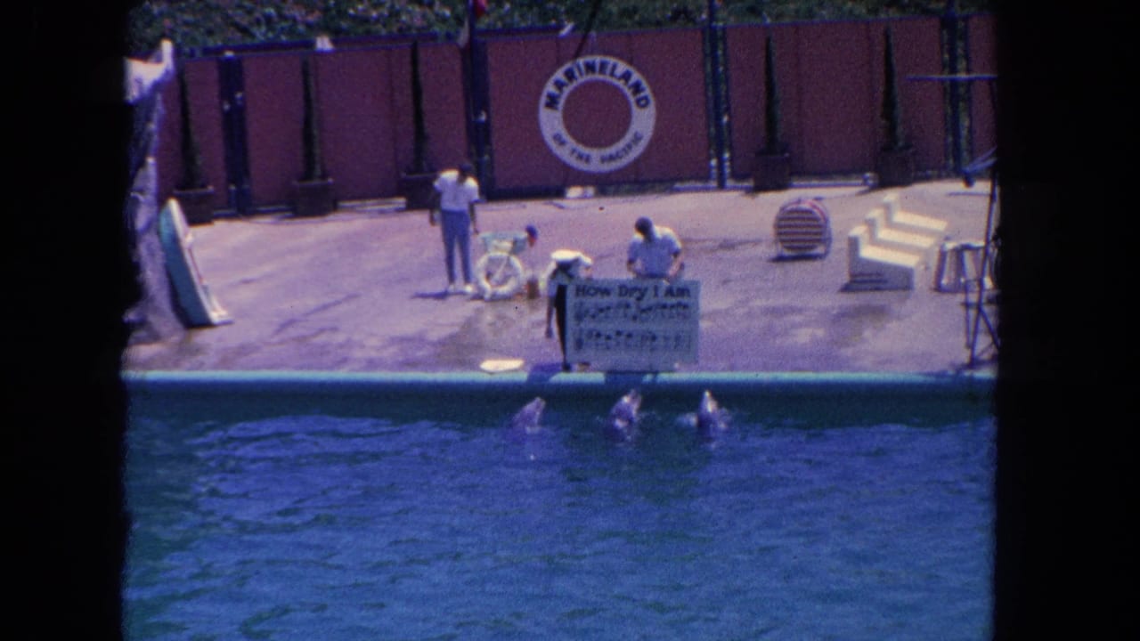 1962 Los Angeles marine-park footage shows dolphins near the pool edge as trainers prepare on a deck with Marineland signage.