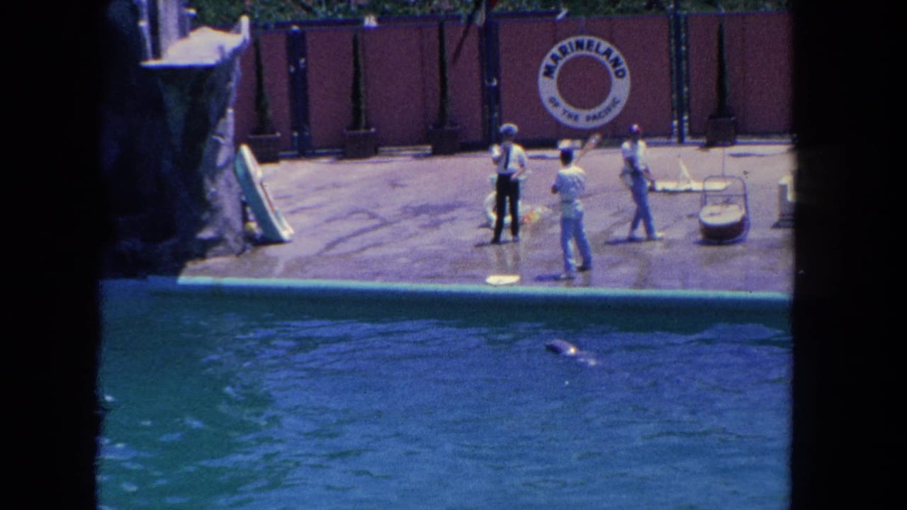 Distant 1962 Marineland poolside view with trainers facing a dolphin moving through the foreground water.