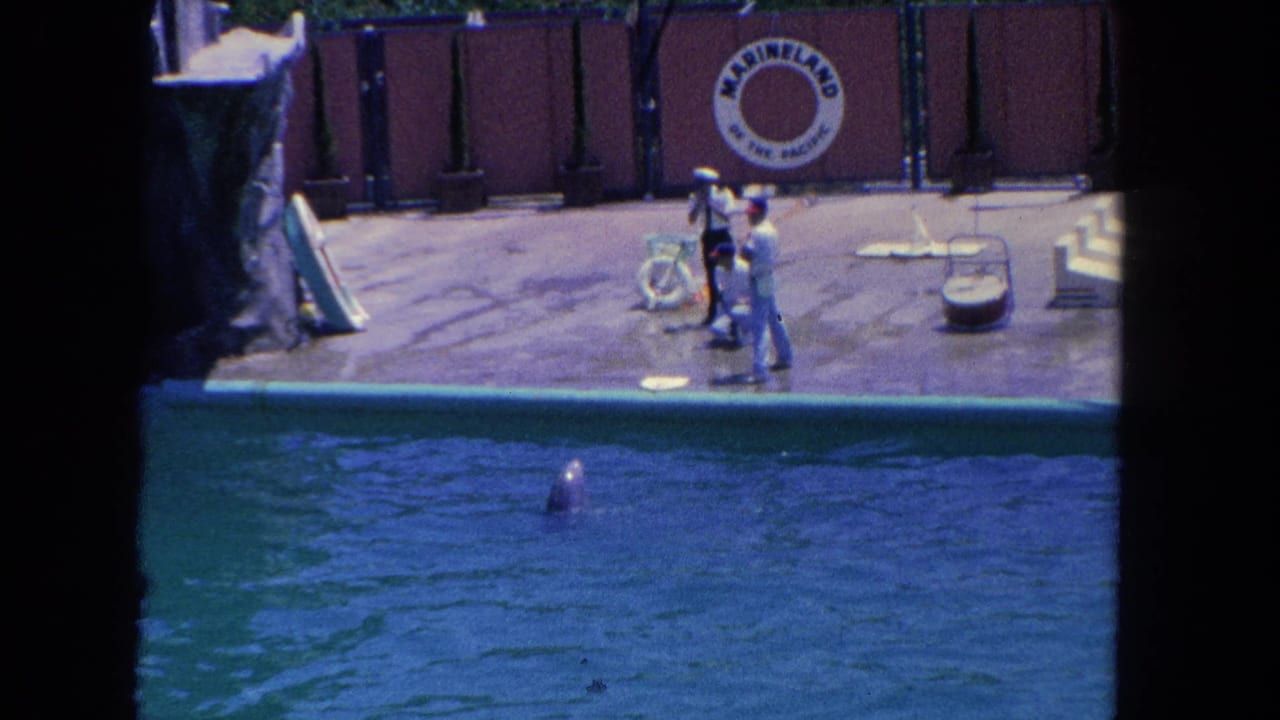 Three trainers stand beside a pool as a dolphin surfaces near a Marineland platform.