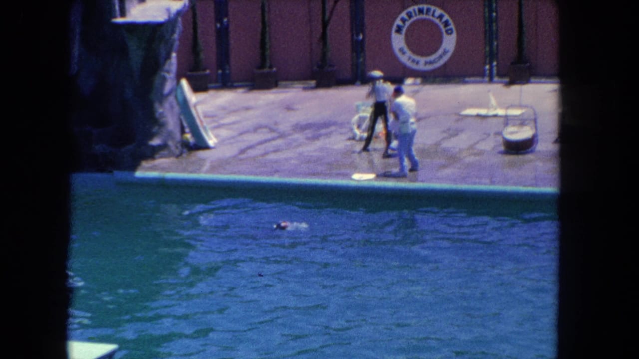 A dolphin appears near the surface of the pool as two white-uniformed trainers stand on the Marineland deck during a 1962 show.