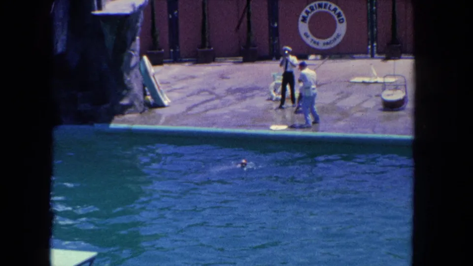 White-clad trainers watch from the Marineland pool deck while a small ball floats near a dolphin in the water.