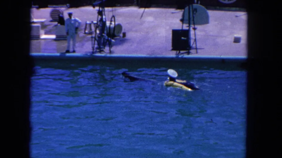 Vintage 8mm frame of a dolphin in a blue show pool, filmed from behind a dark foreground barrier.