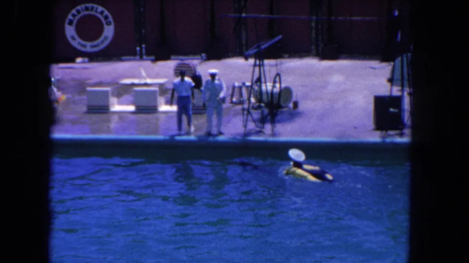 Los Angeles-area 1962 marine park footage showing a dolphin near two poolside figures and visible show equipment.