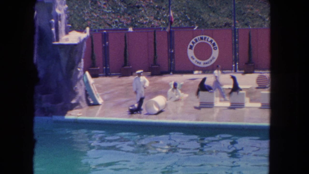 At Marineland of the Pacific in 1962, sea lions appear on poolside blocks while uniformed handlers stand near a red backdrop.