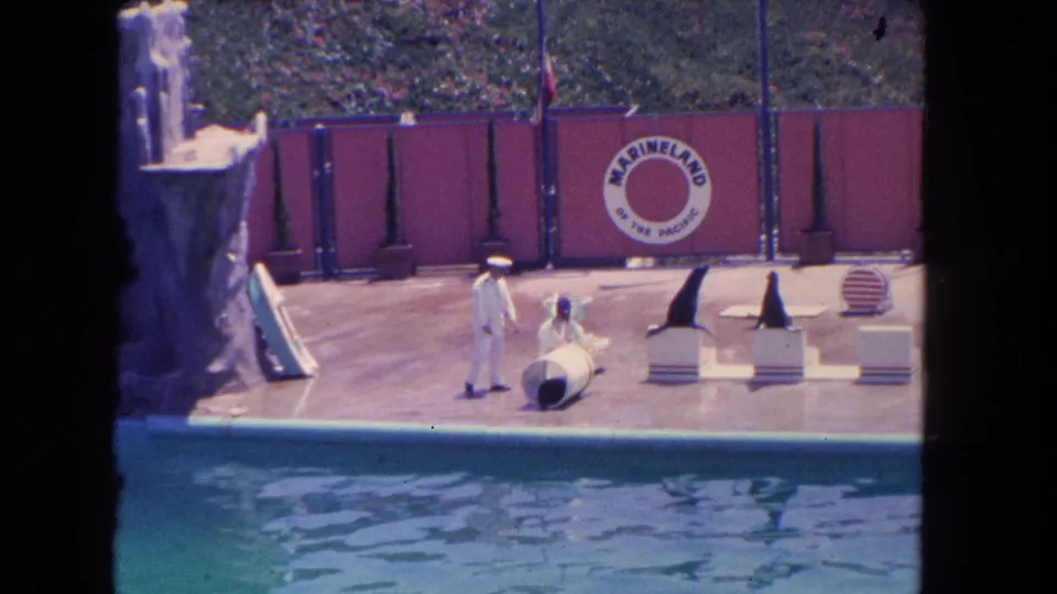 Final 1962 Marineland show frame showing sea lions on platforms, two handlers, a white barrel, and the pool in the foreground.