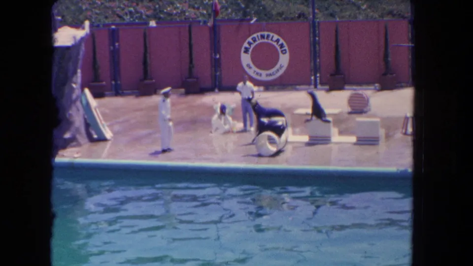 1962 8mm frame of a Marineland sea lion show in Los Angeles, with trainers in white uniforms, sea lions, platforms and a pool in front.