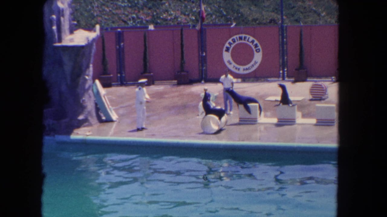 1962 Los Angeles home-movie frame showing sea lions on platforms and a barrel while trainers stand near the pool at Marineland.