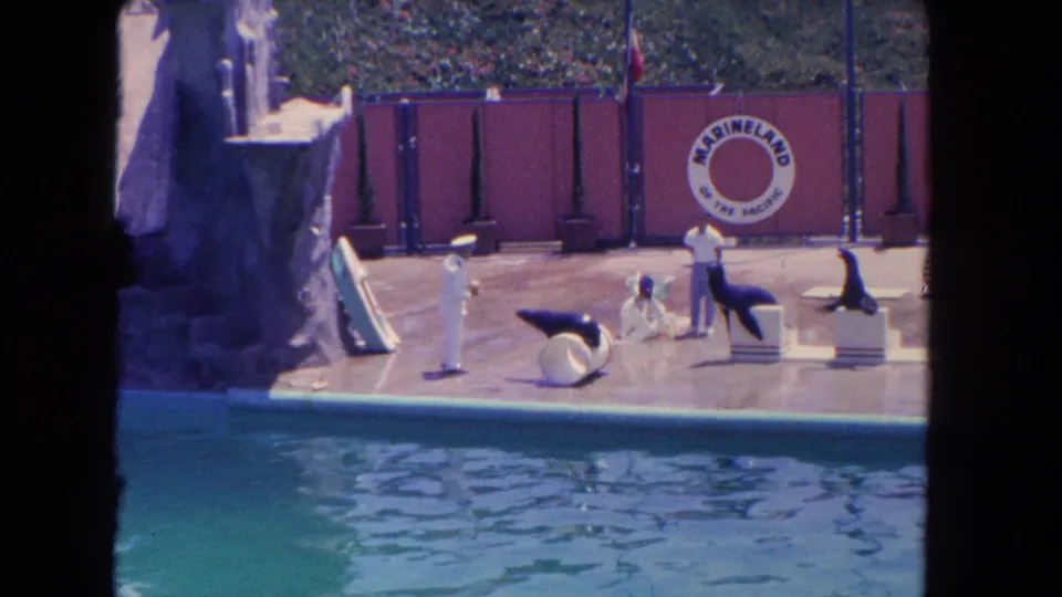 1962 Los Angeles frame of a Marineland sea lion show, with one trainer kneeling near a balancing sea lion and another trainer standing by platforms.