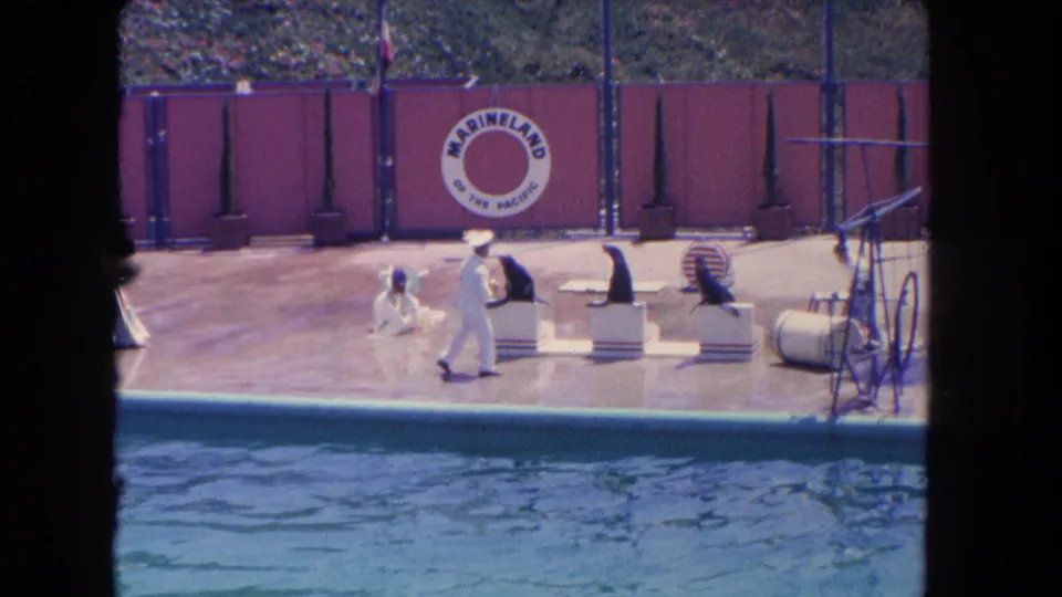 The 1962 home-movie view captures a trainer crossing in front of seals on platforms, with a striped ball prop and Marineland sign visible.