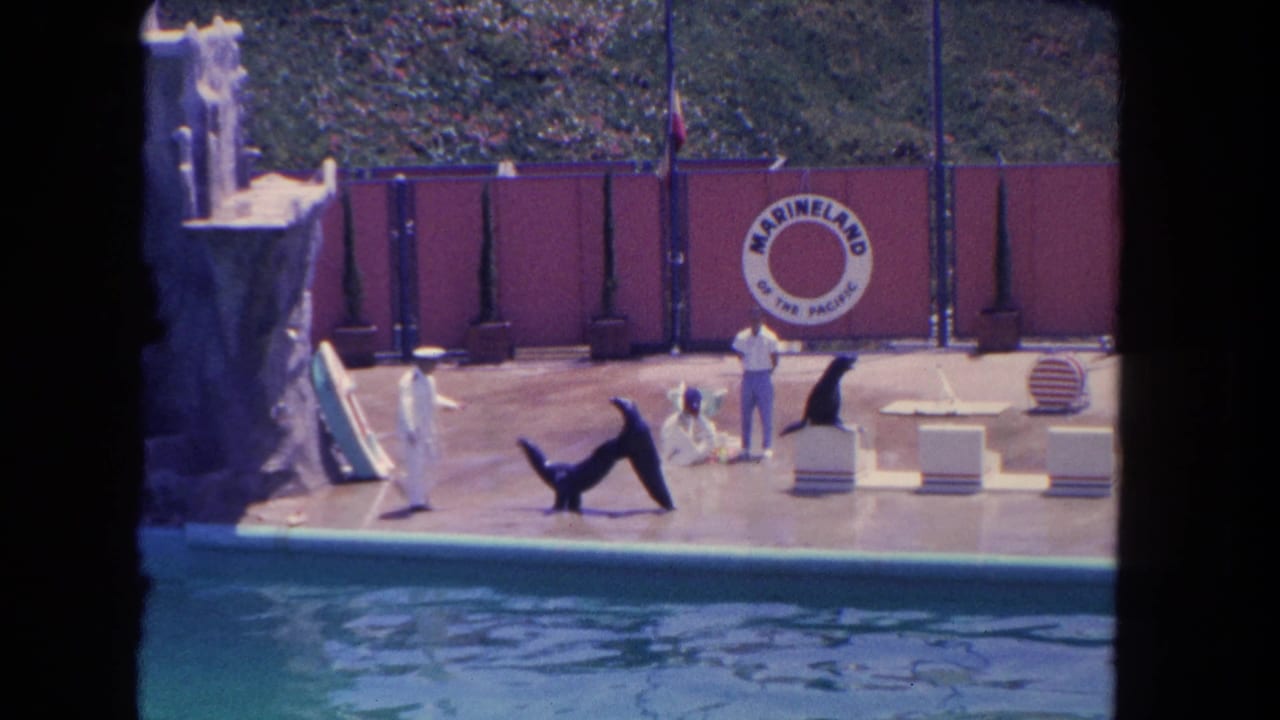 Two trainers guide sea lions on a poolside stage with a Marineland sign behind them.