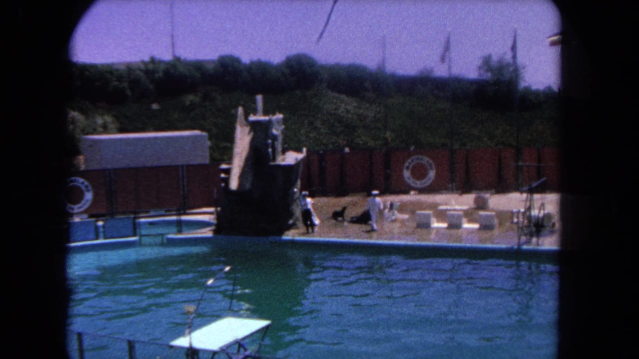 Trainer area beside a turquoise pool with a stage prop and sea lion nearby.