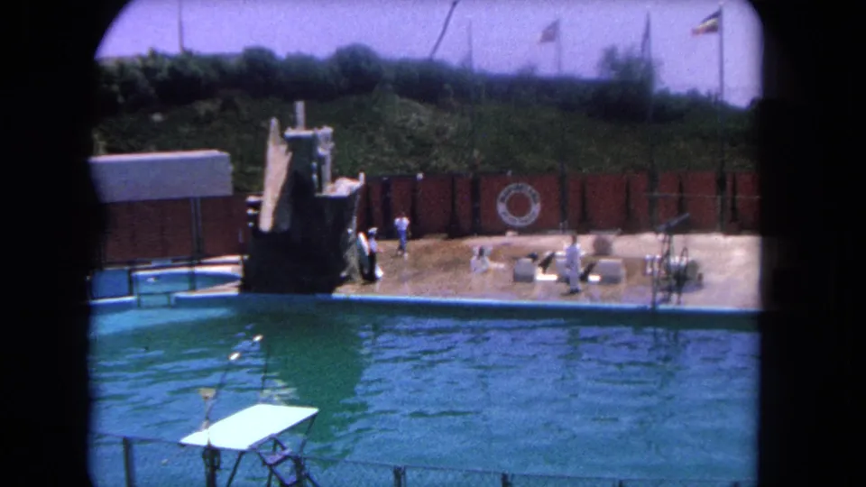 1962 Los Angeles frame showing the trainer and sea lion on the poolside performance area with props, flags, and turquoise water.