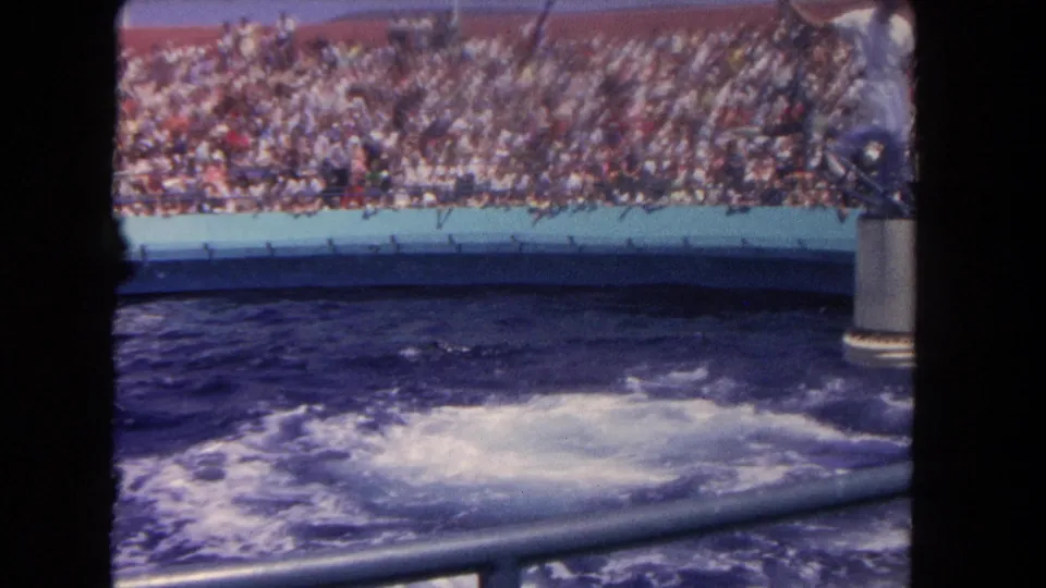 A visitor-shot 8mm frame shows a crowded Los Angeles aquarium audience above foamy pool water after a dolphin trick.