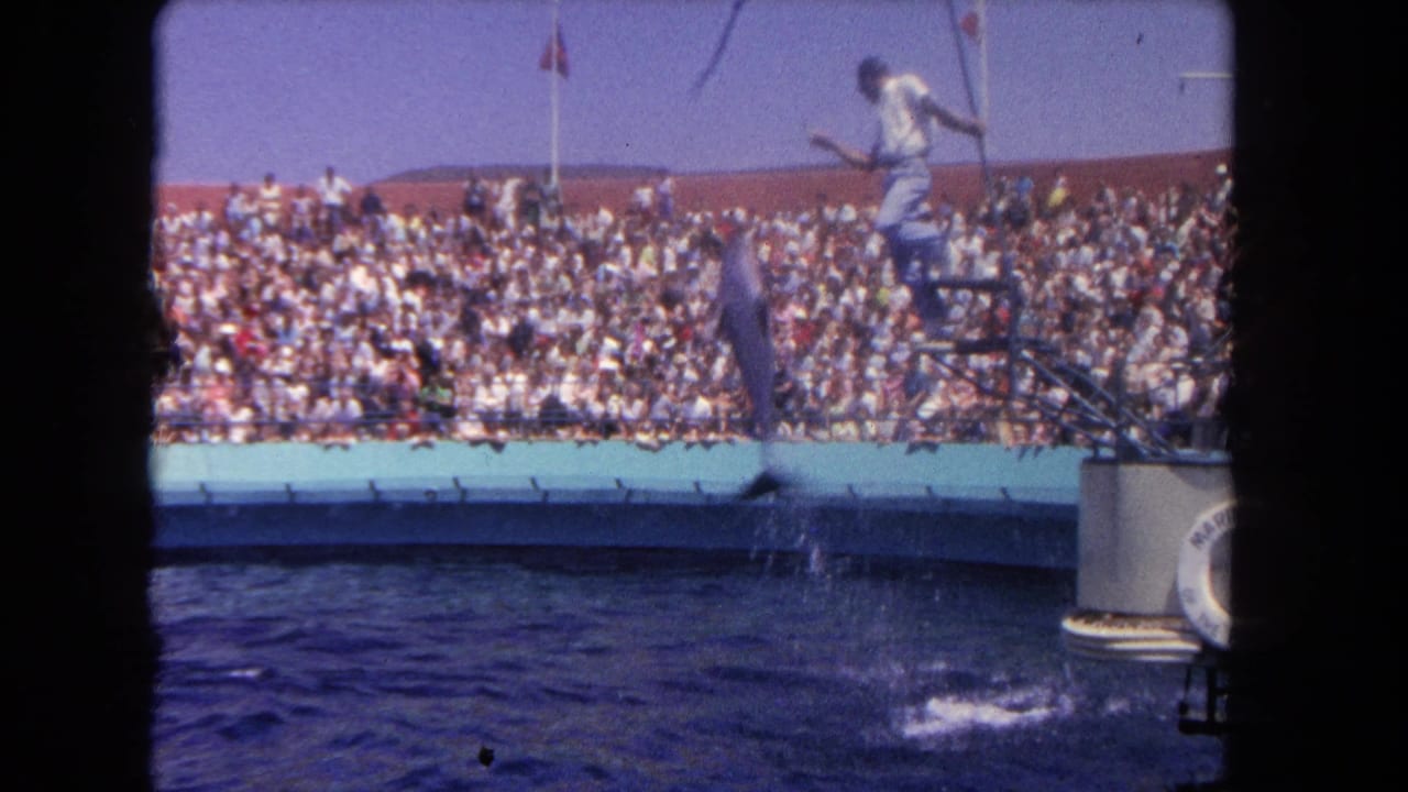 A trainer on a raised platform watches the pool during a 1962 Los Angeles dolphin show, with a large crowd in the background.