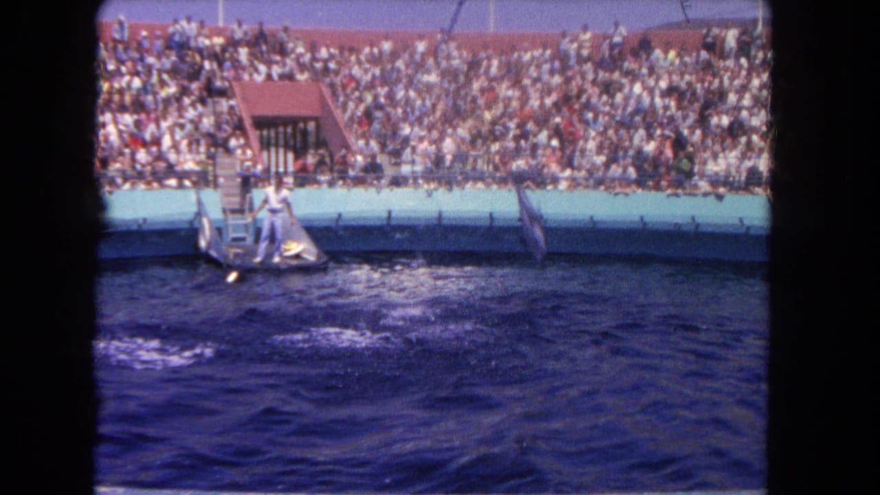 Visitor-shot 8mm frame of a Los Angeles dolphin show, with the trainer on a platform, churning water, and a large seated audience behind.