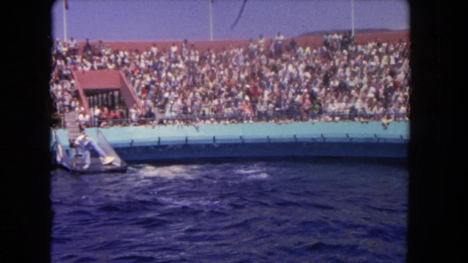 Visitor-shot 1962 aquarium footage shows the platform and pool edge with a dense crowd watching from the stands.