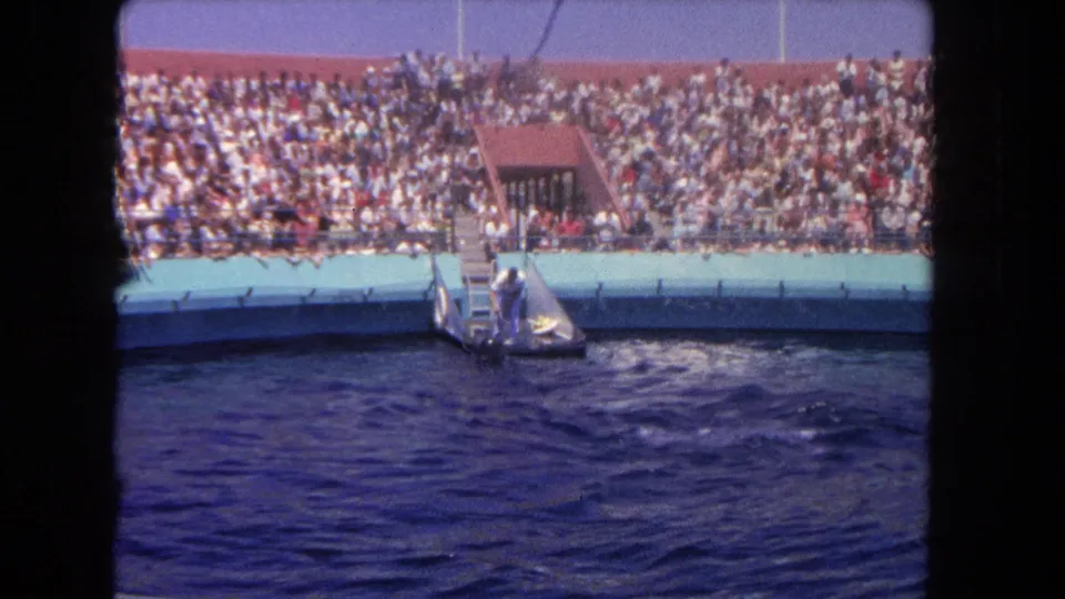 1962 Los Angeles home-movie view of rippling pool water, a small show platform, and a dense crowd in outdoor stands.