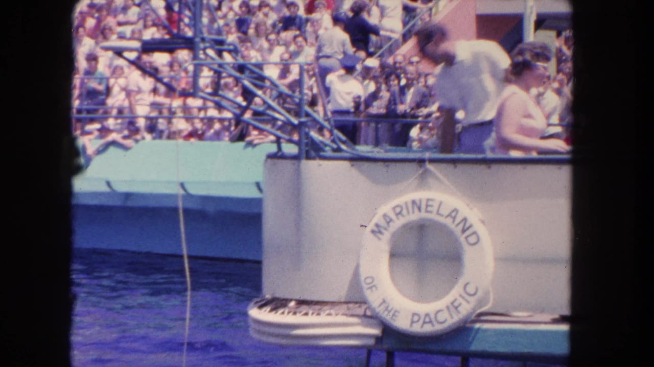 1962 Los Angeles Marineland poolside scene with spectators, staff, railings, blue water, and a visible Marineland life preserver.