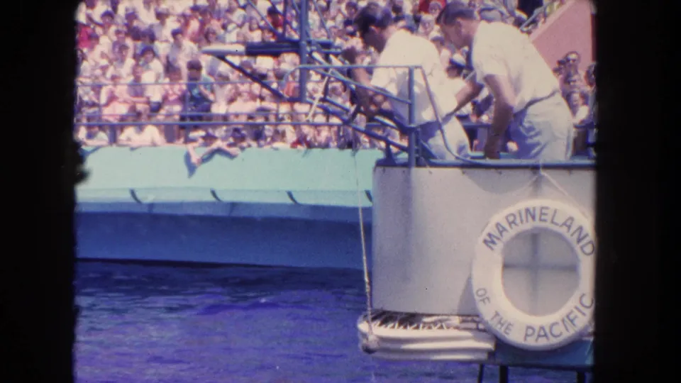 White-uniformed handlers lean over a Marineland pool platform while spectators watch from crowded bleachers in the background.