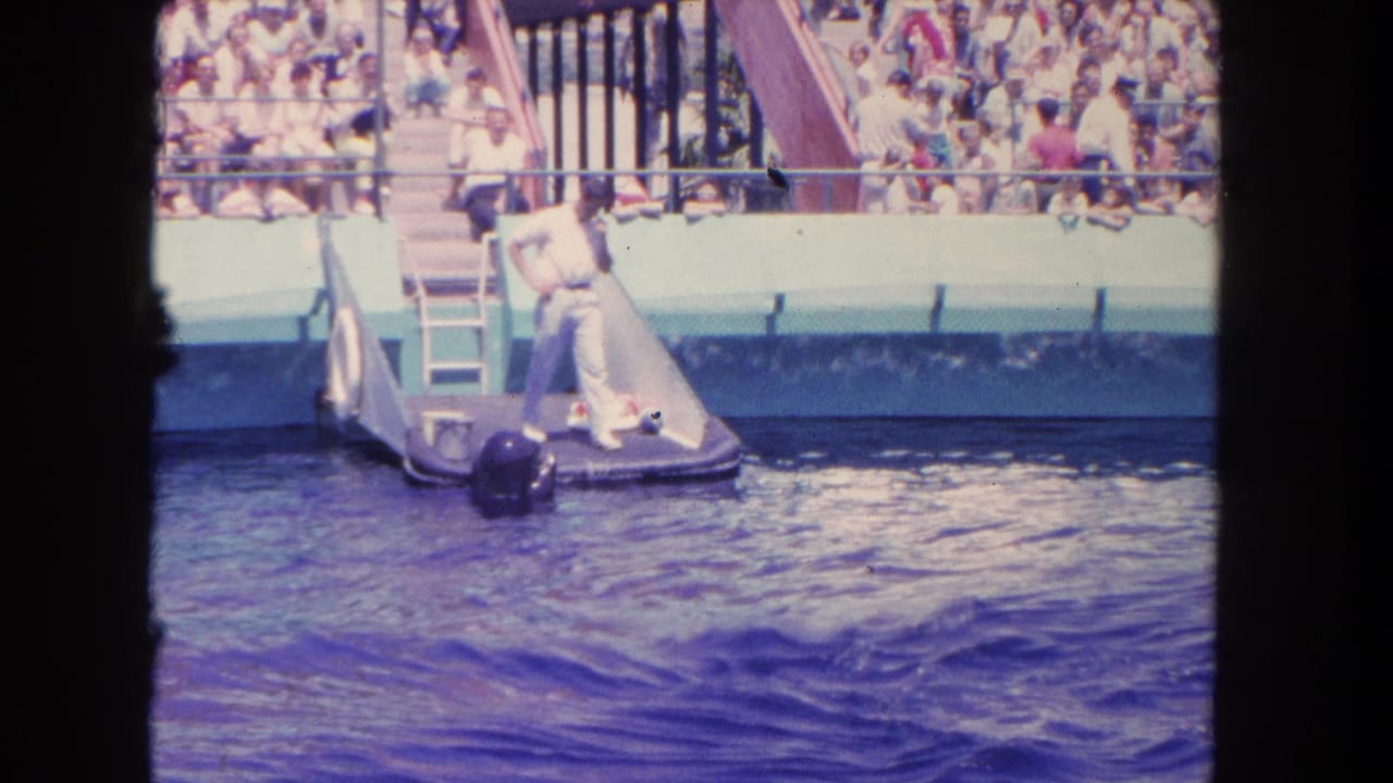 Trainer on a floating platform beside a marine show pool with a crowd in bleachers behind.