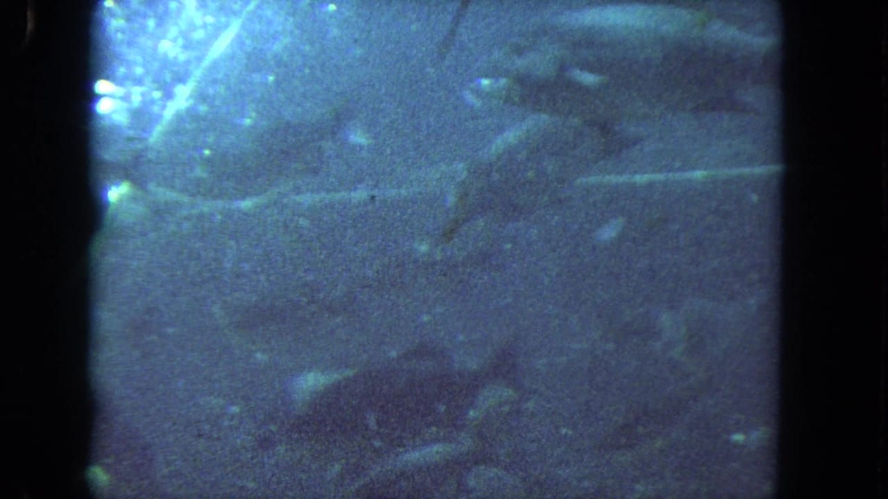 Blue-tinted 1962 8mm aquarium view in Los Angeles, with fish moving behind glass and dark gate edges visible.