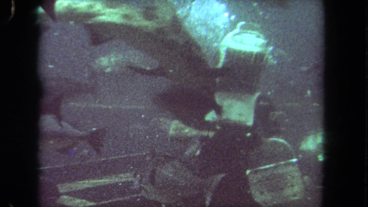 1962 Los Angeles 8mm underwater footage showing fish around a partly visible diver in blue-green water.