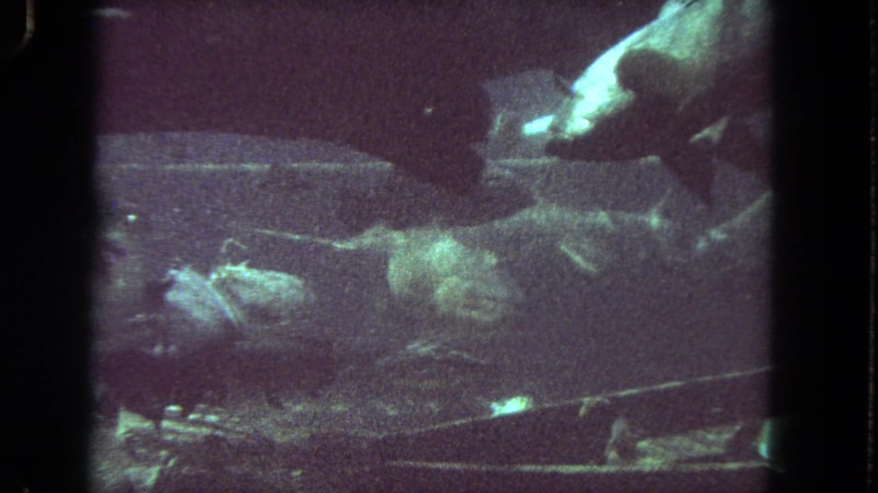 Fish swim around an underwater diver near a ledge in grainy 8mm footage.