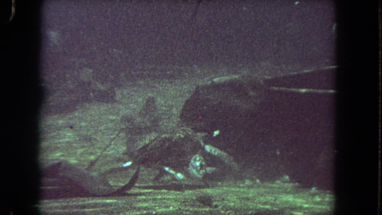 Fish near a murky sandy bottom in green-tinted underwater 8mm footage.