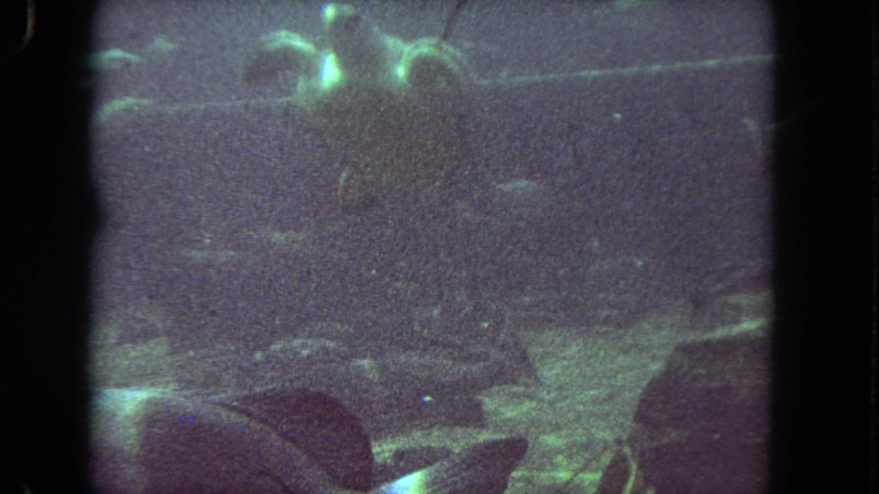 1962 8mm underwater footage from Los Angeles showing dim green water, fish shapes, rocks, and visible film gate edges.