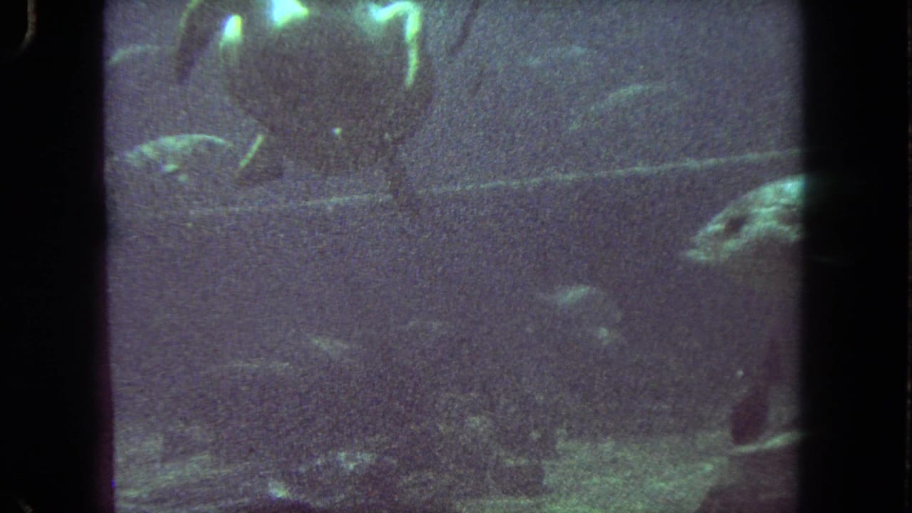 Green-tinted 1962 8mm frame with fish in murky water and a turtle-like form near the lower right edge.