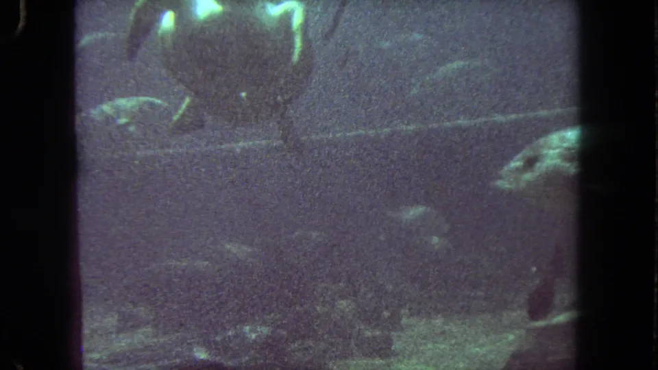 Green-tinted 1962 8mm frame with fish in murky water and a turtle-like form near the lower right edge.