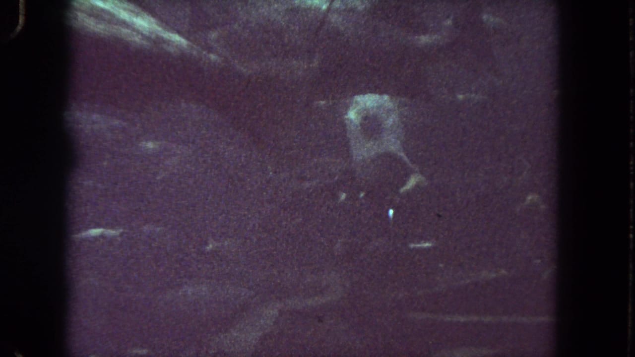 Dim aquarium water with faint fish shapes and vertical film-frame borders.