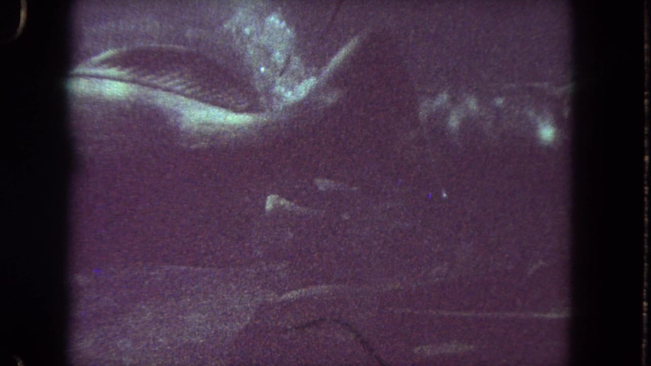 Murky underwater frame with fish shapes, grain, and dark film-strip edges.