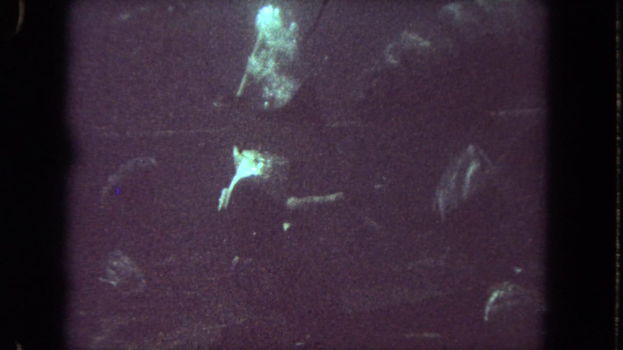 Dim underwater view with scattered bright patches and indistinct shapes.