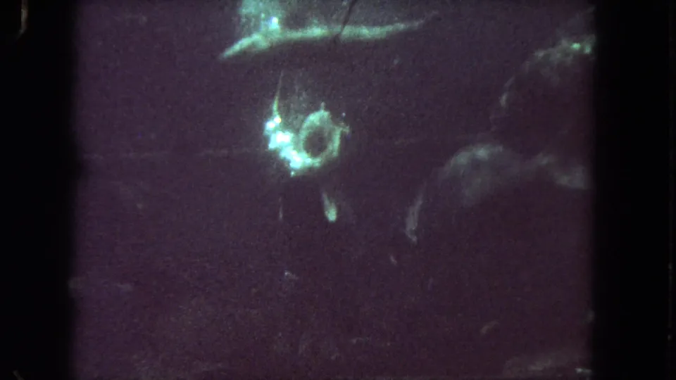 Final 1962 Los Angeles aquarium frame showing the diver receding amid fish, bubbles, and the dim green cast of 8mm film.