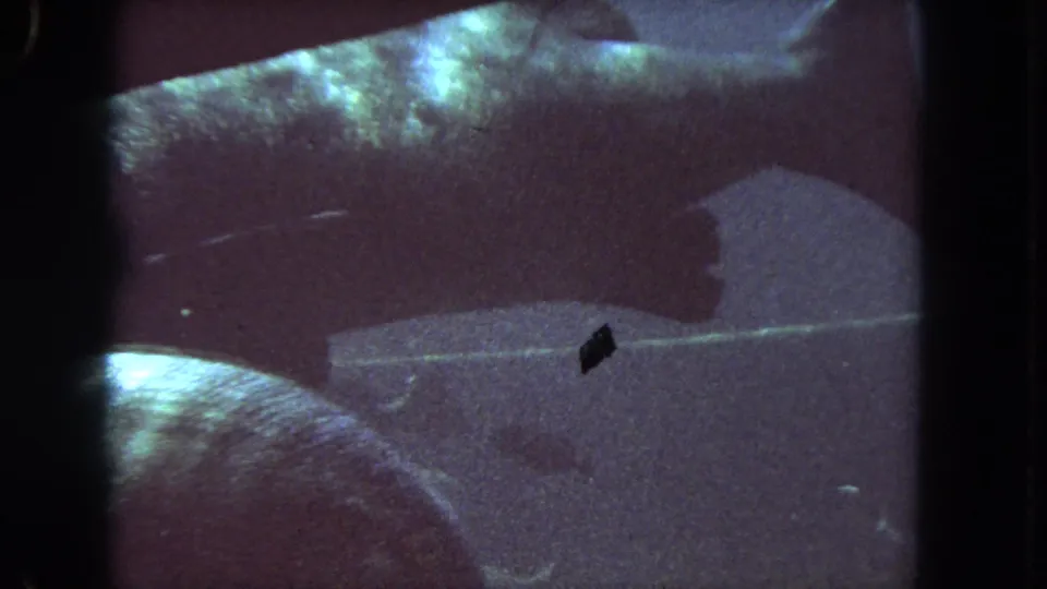 1962 Los Angeles 8mm still with the large fish close to camera, its body and tail filling much of the blue aquarium view.