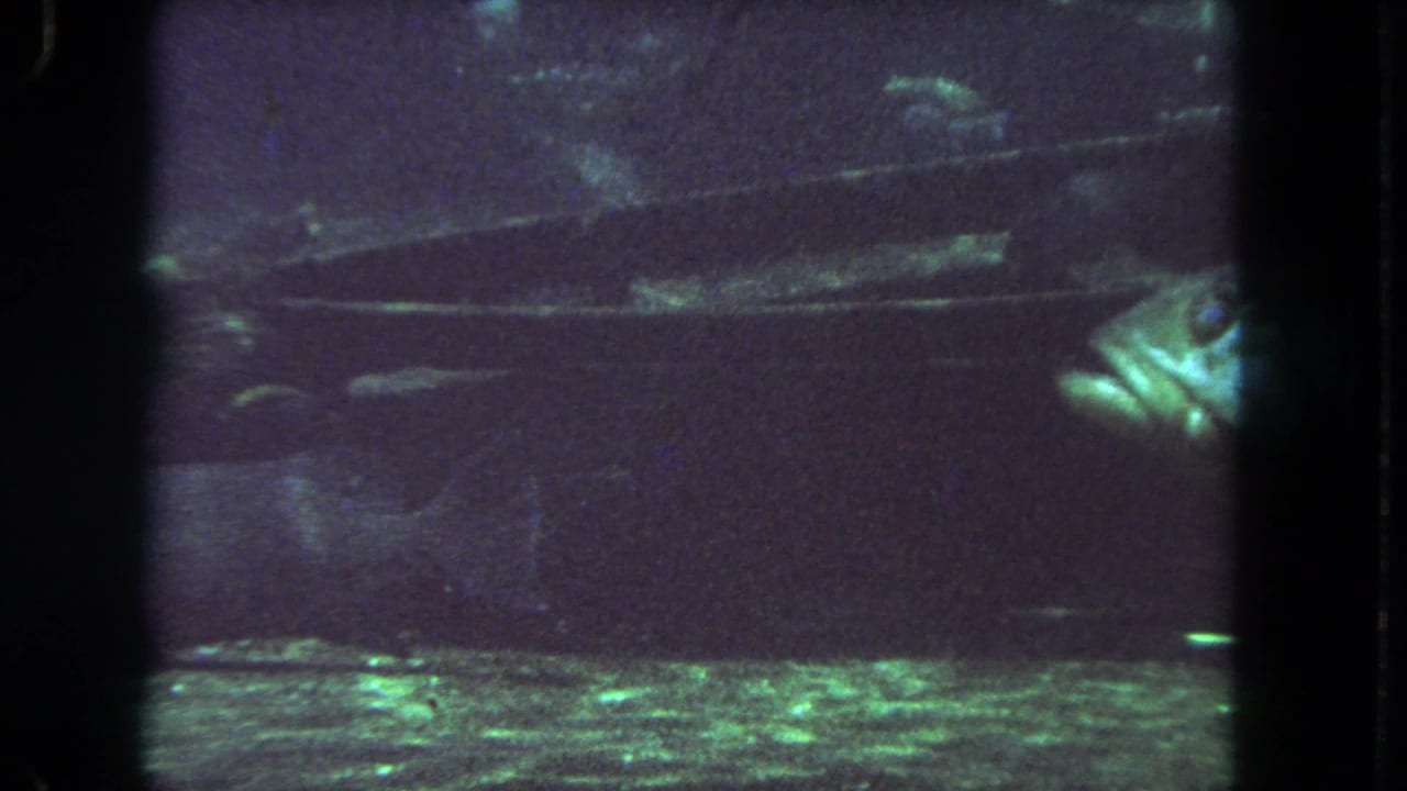 Large silver fish enters from the right in a dim 1962 8mm aquarium shot, with a horizontal tank feature behind it.