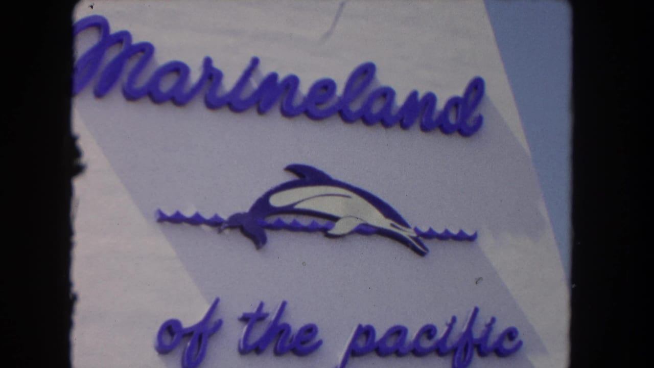 Close-up of the Marineland sign with purple lettering and dolphin emblem.