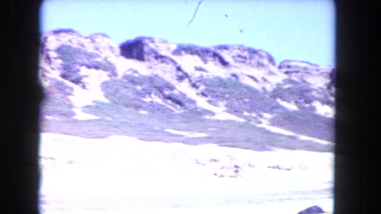 Bright view of dune ridges above a pale beach with water in the foreground.