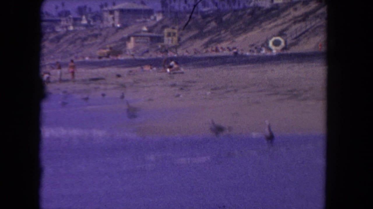 1962 Los Angeles beach frame with seagulls near the water, distant people on sand, low waves, and a sloped shoreline structure in soft focus.