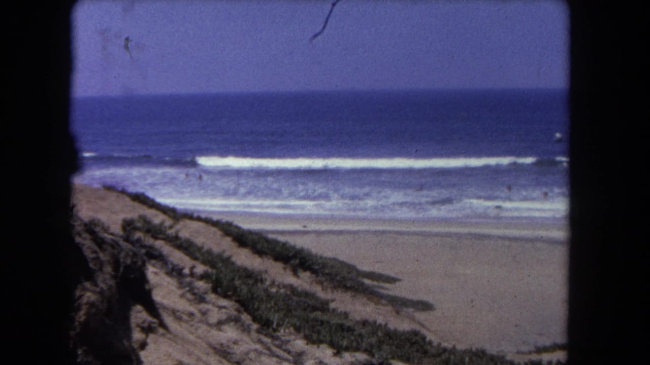 Elevated 8mm view of a sandy dune covered in low vegetation, with open beach and breaking waves under a blue sky.