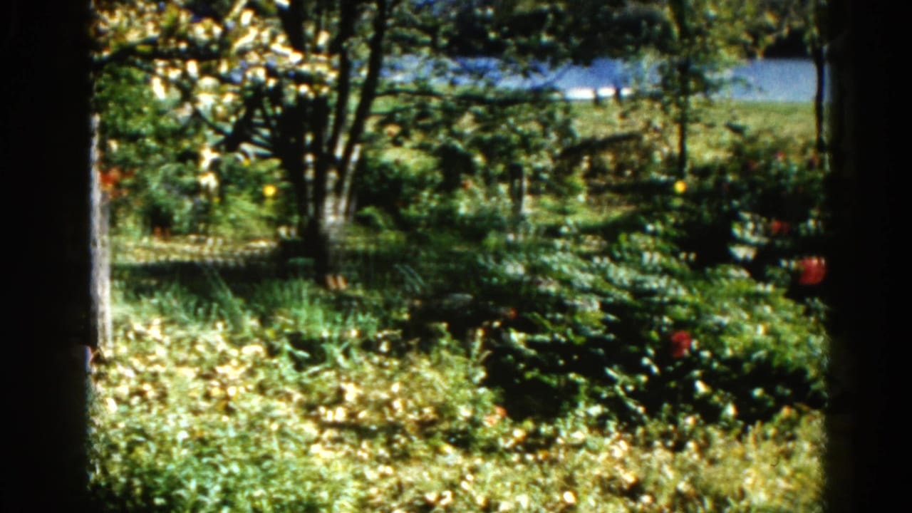 Garden pan showing dense shrubs and deciduous trees with scattered mid-distance flowers, 8mm film, 1962.