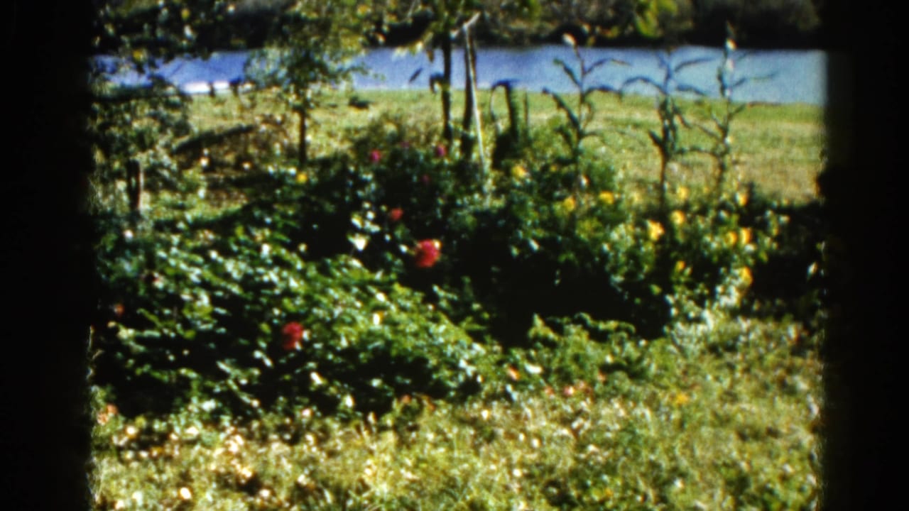 Garden with red and yellow flowers, lush green foliage, and a river bank visible in the distance.