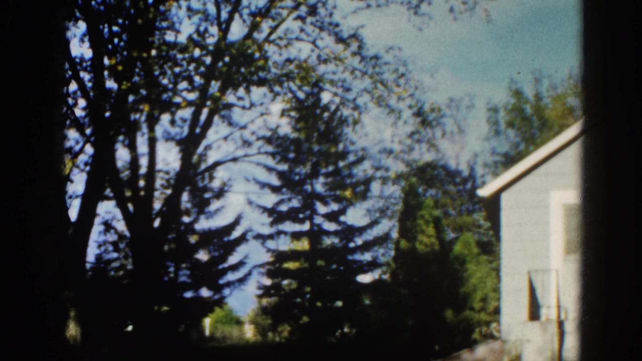 8mm home movie frame, circa 1962, Illinois — same backyard treetop composition with residential house corner and blue sky, window or vent detail at right.