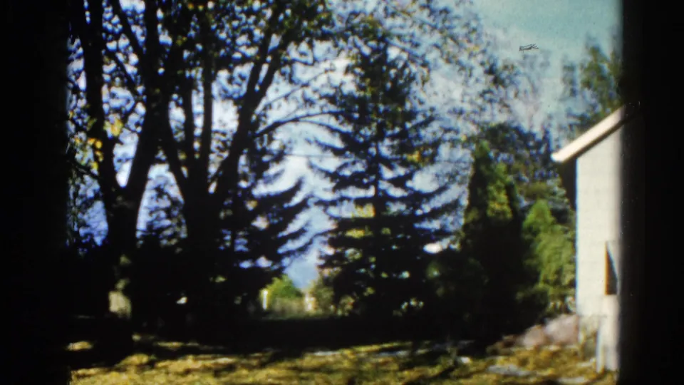 8mm home movie frame, circa 1962, Illinois — camera mid-pan showing conifer and deciduous tree against blue sky with residential structure at right edge.